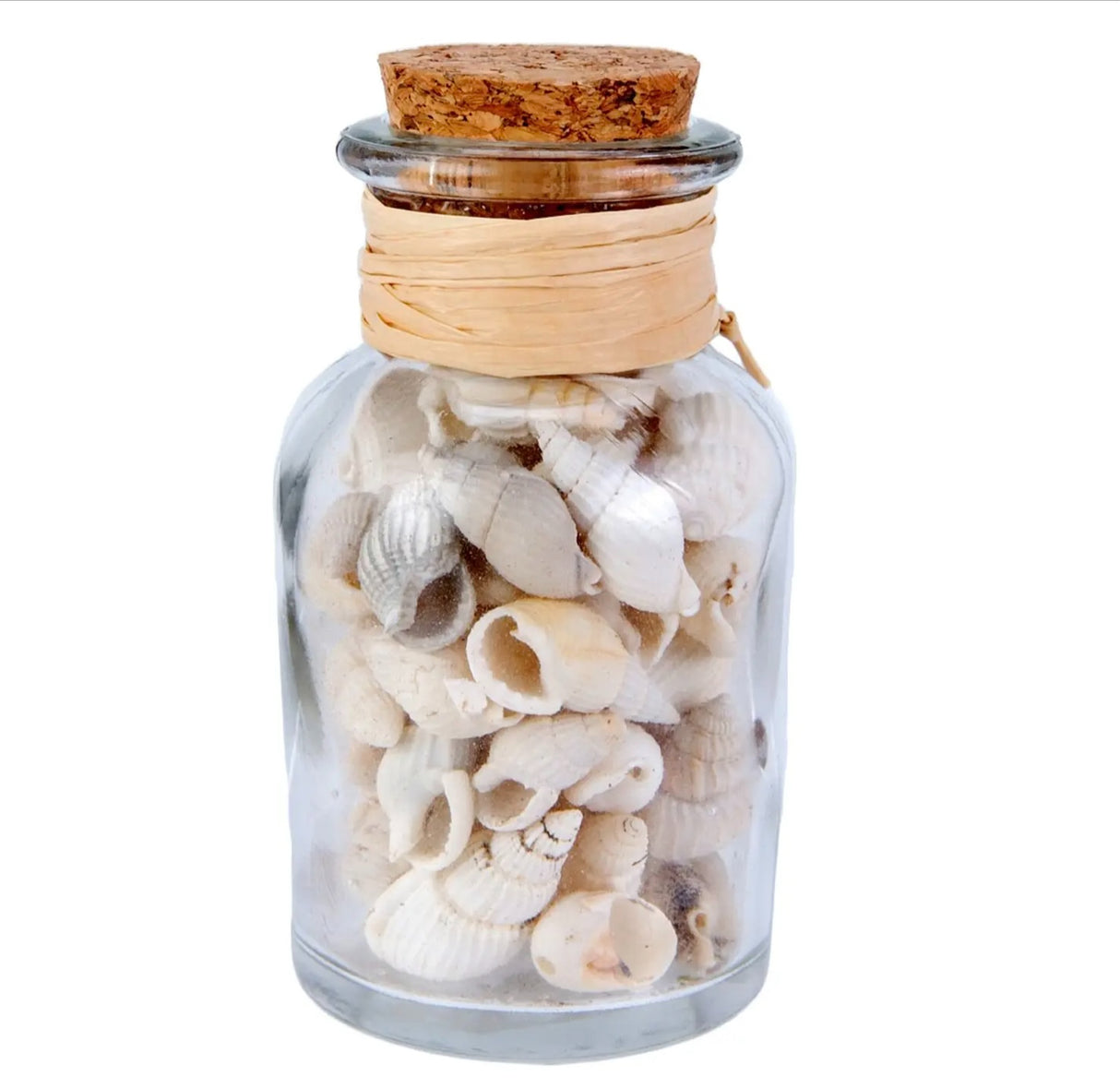 Glass Bottle with White Shells – Beachcombers Coastal Accent for Shelf Styling, Guest Rooms, or Summer Vignettes