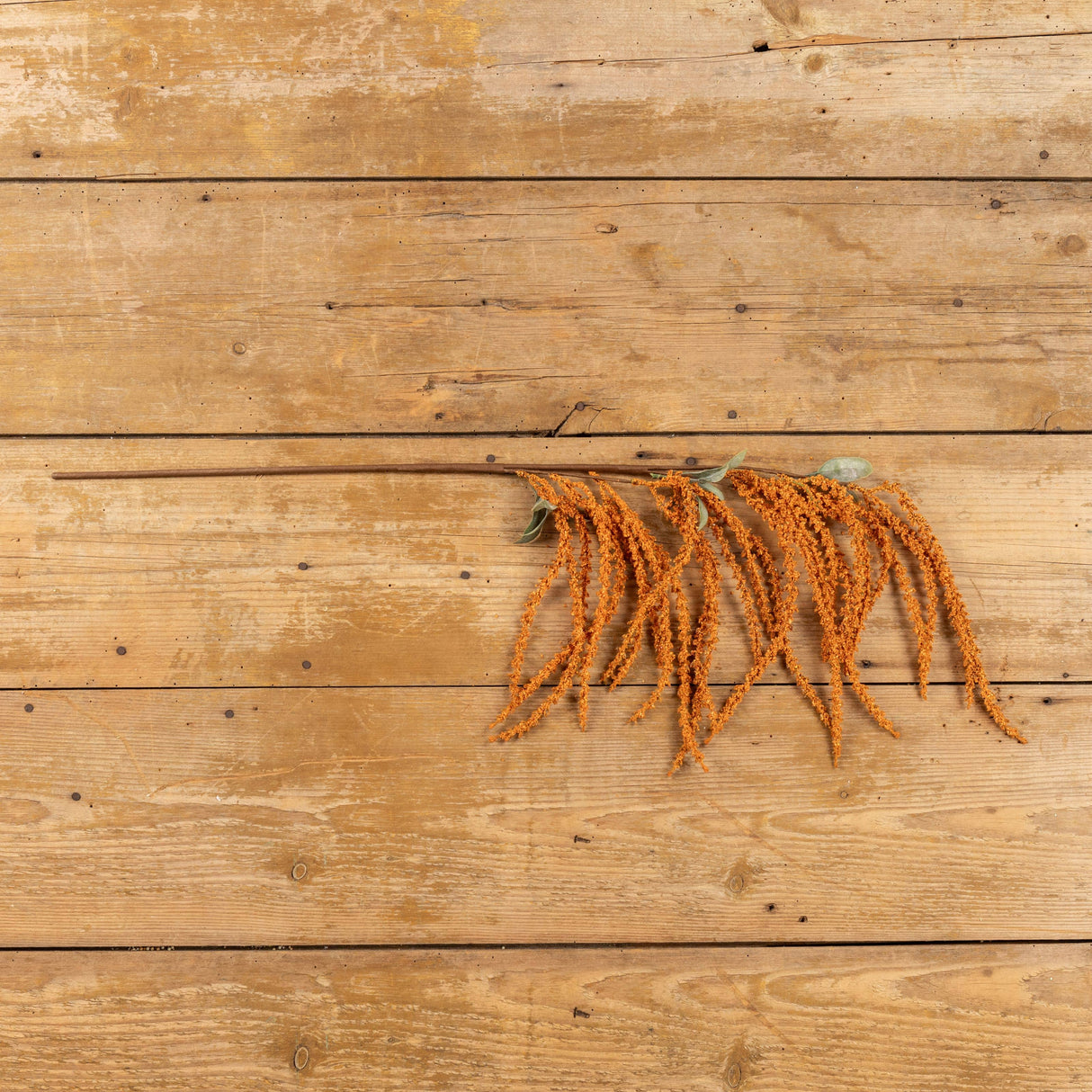 ORANGE AMARANTHUS HANGING SPRAY