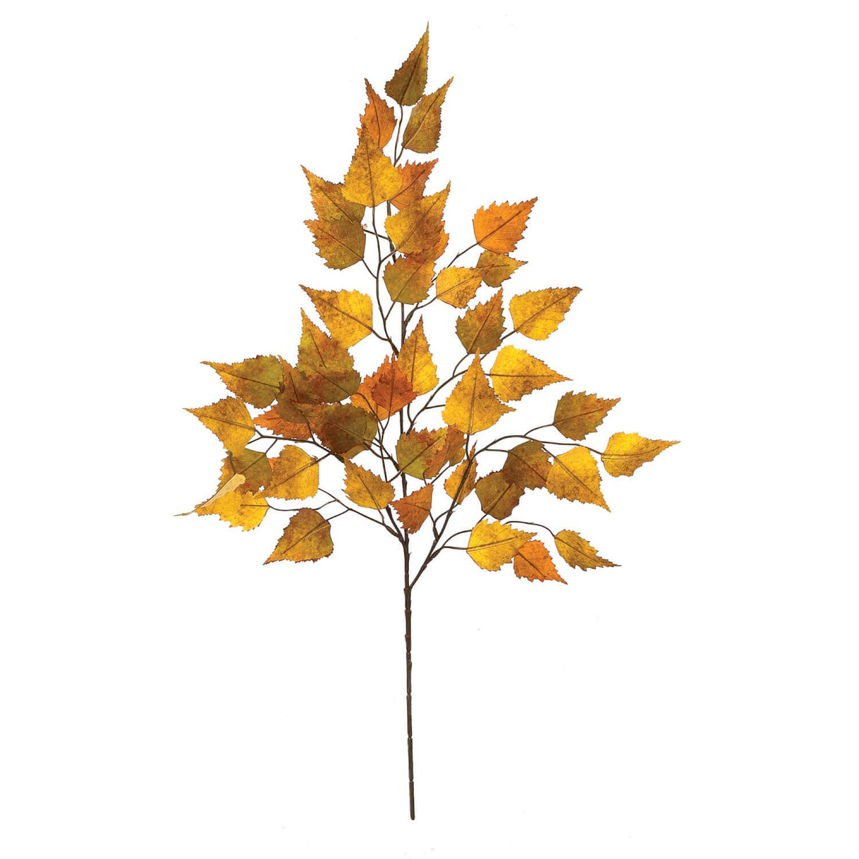 Golden Brown Birch Spray – Seasonal Accent