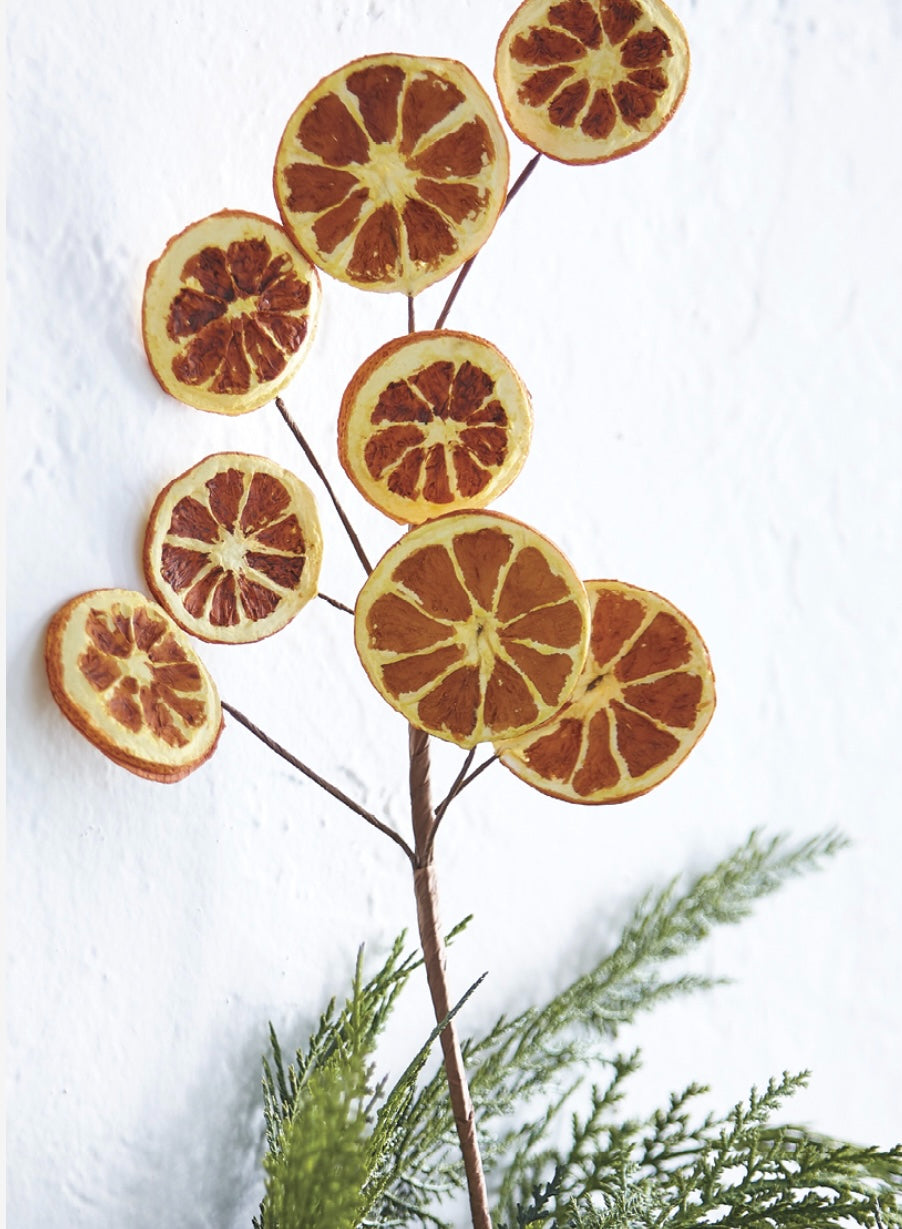 RAZ Orange Slice Spray – Faux Dried Citrus Set of 3 Stems (18.5")