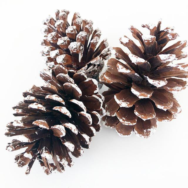 Frosted Pinecone Trio – Gift boxed Set of 3 | Winter Shelf Accents