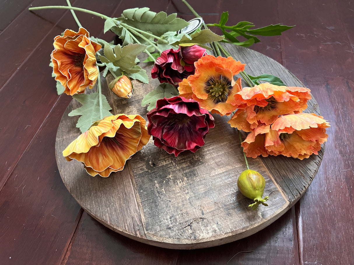 Moody Fall Poppy Stems – Ragon House Autumn Floral Collection
