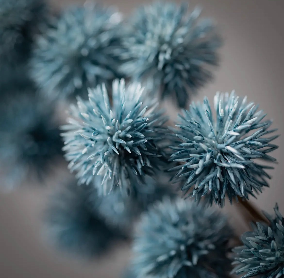 Blue Thistle Floral Spray