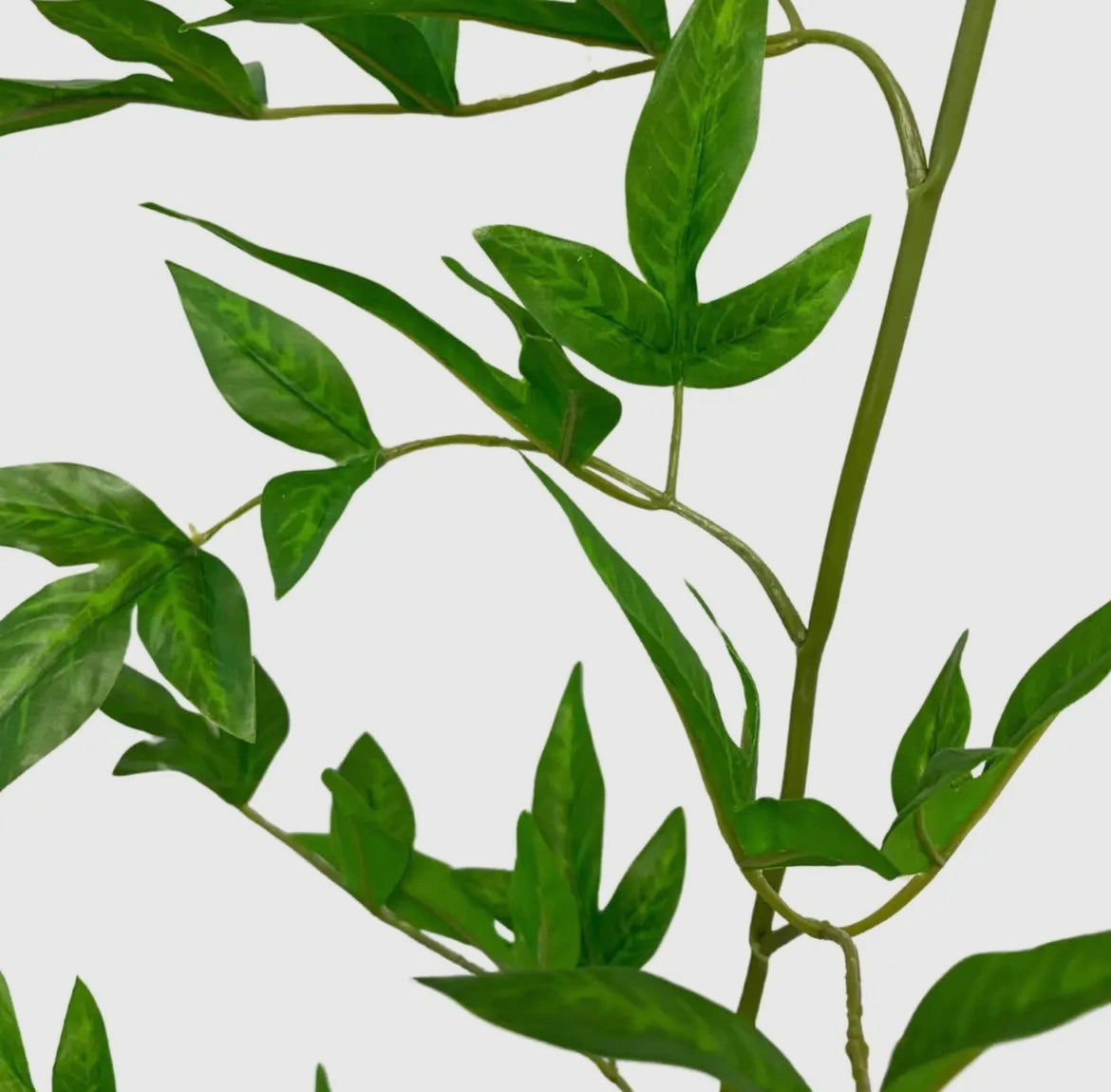 English Garden Nandina Spray in Green