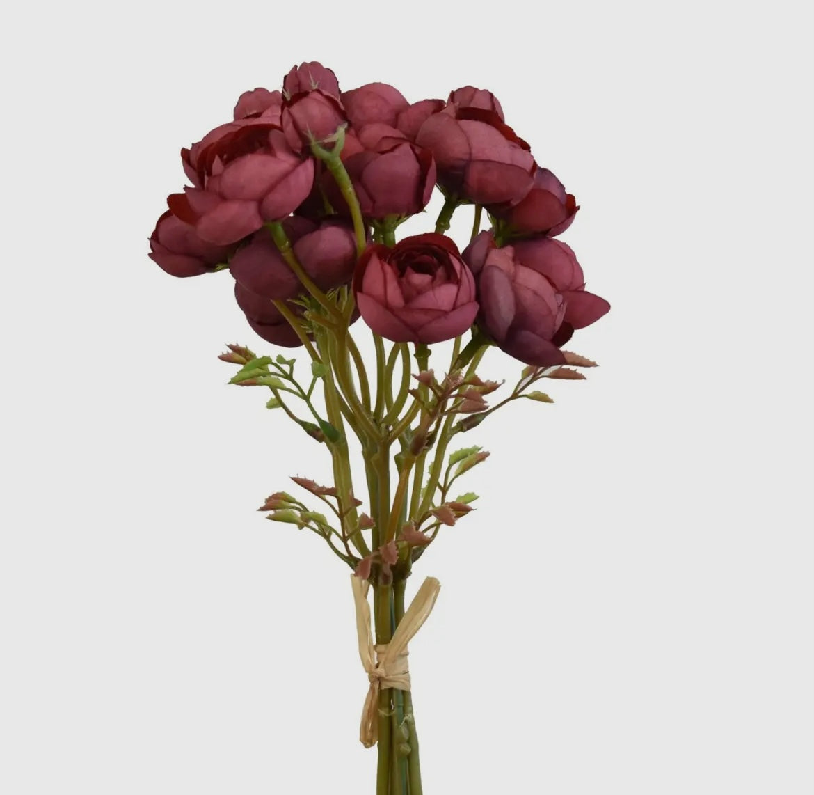 Mini French Ranunculus Bundle – Aged Wine