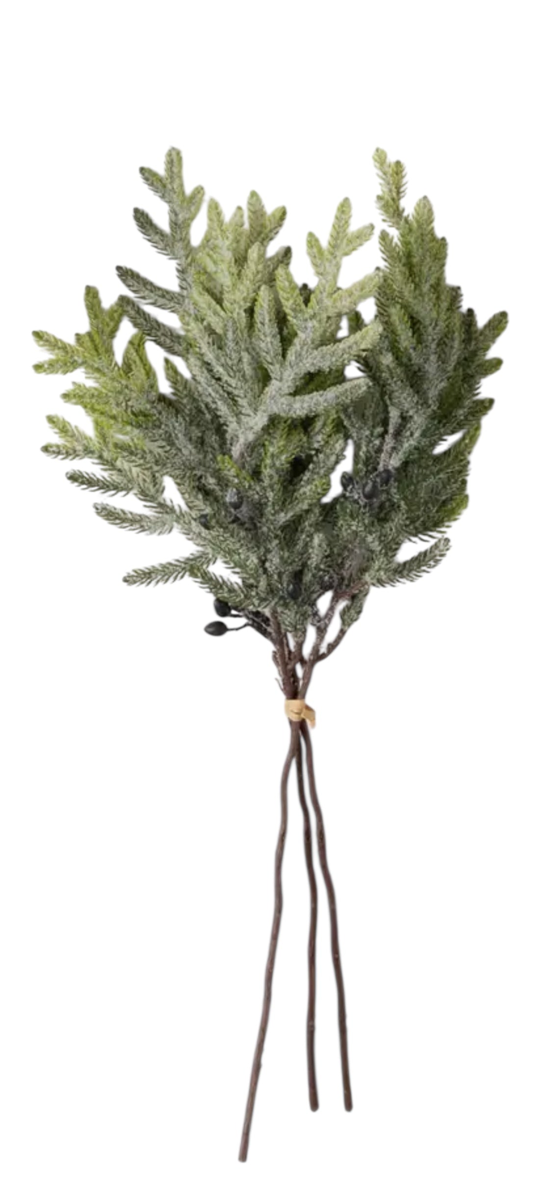 Neutral Pine Spray – Winter Frost, Green Frost, or Autumn Frost (H00461)