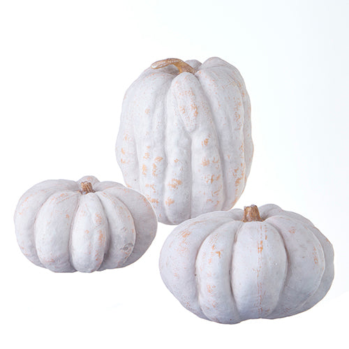 Three white pumpkins with gold accents on a white background