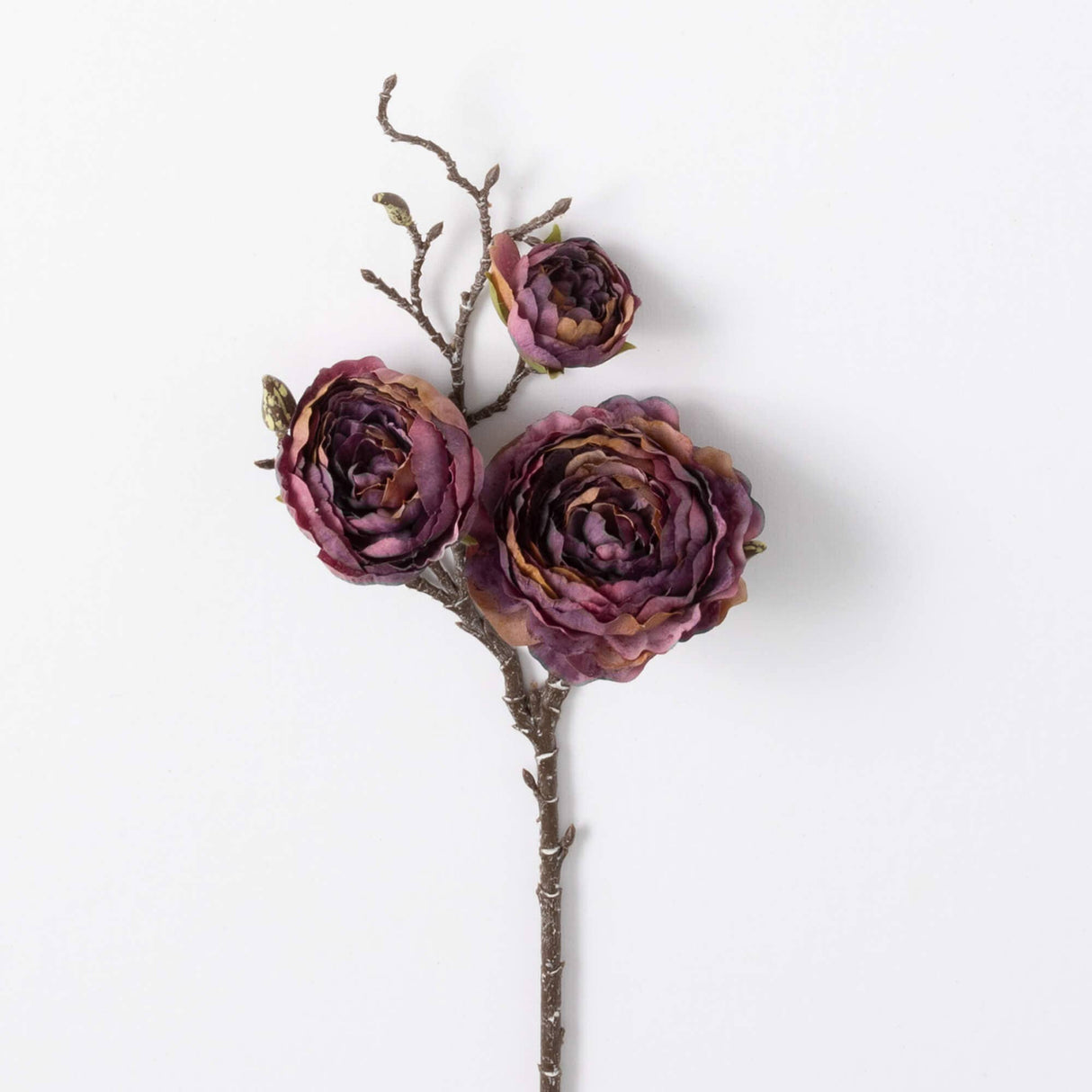 Ranunculus Spray – Purple