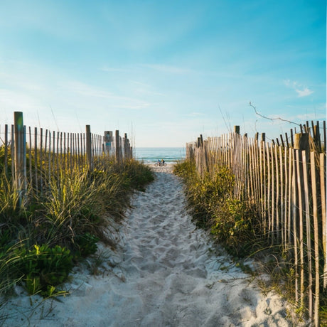 The Coastal Collection – Driftwood Dreams & Seaside Whimsy