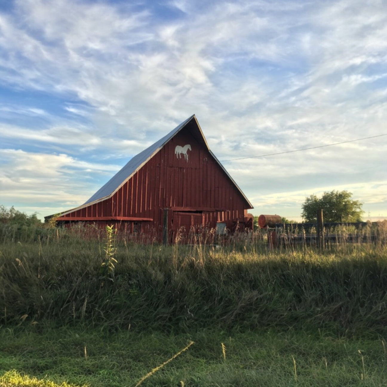 The Farmhouse Collection: Rustic Roots