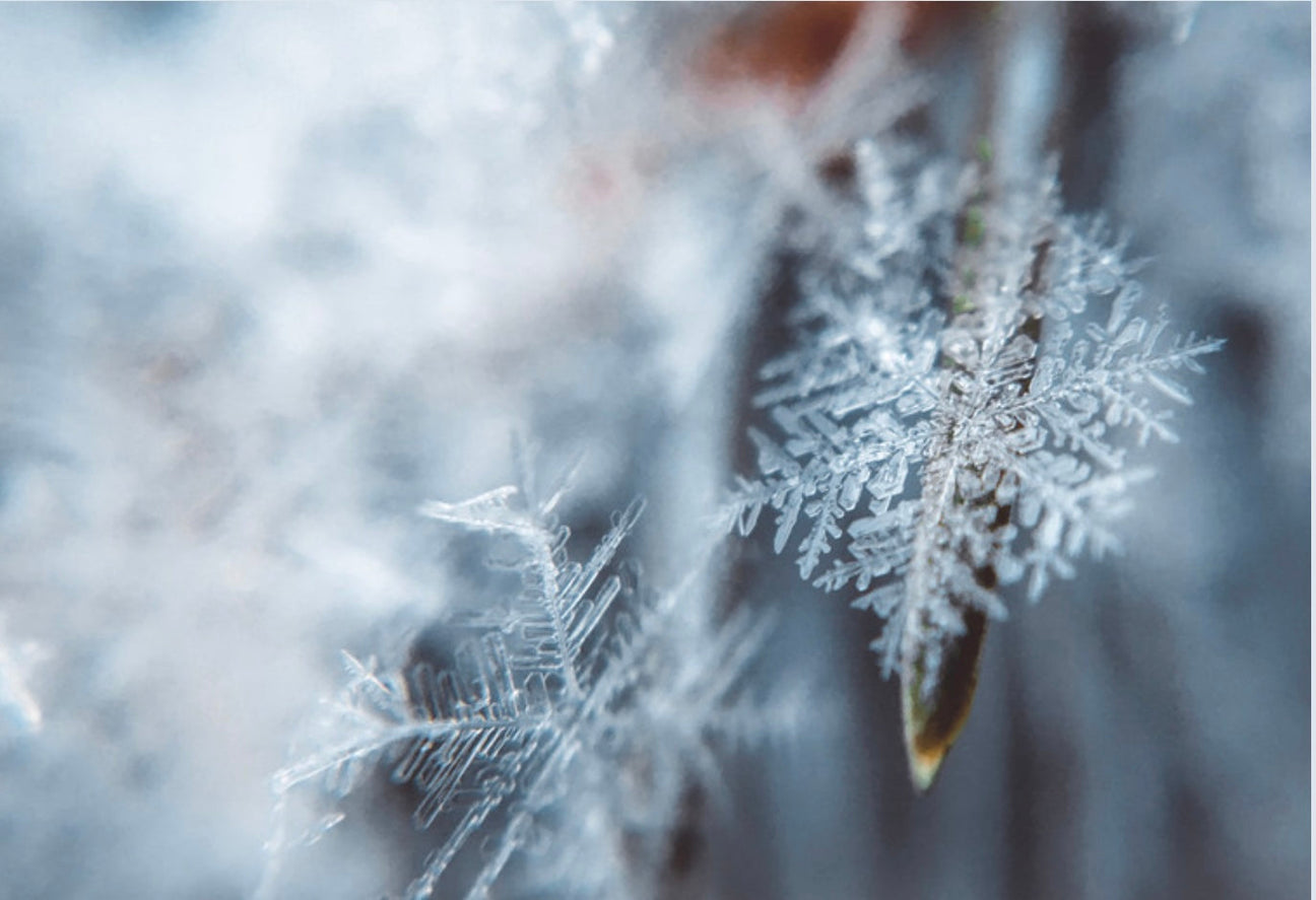 The Winter Collection: Finds for Home & Hearth