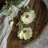 Moody Fall Poppy Stems – Ragon House Autumn Floral Collection