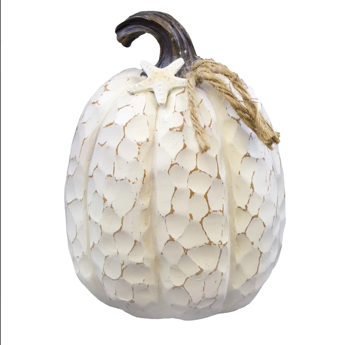 Beachcombers Coastal Life Nautical Pumpkin