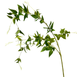 46″ Clematis Leaf Spray – Two-Toned Green Faux Stem for Spring & Summer Floral Arrangements