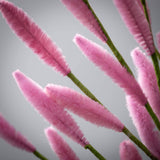 Sullivans Hot Pink Bunny Tail Spray – Faux Floral Stem