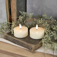 Two lit candles on an old book with greenery in the background