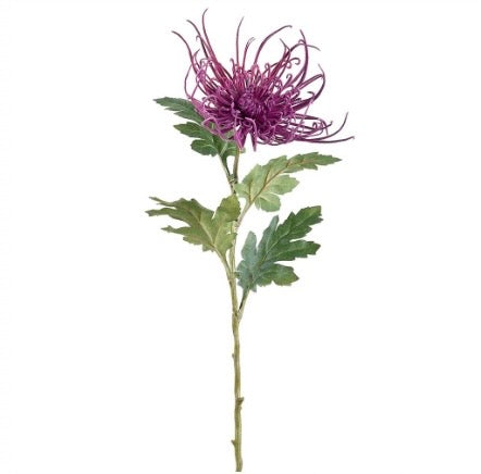 28" Spider Mum Stem — Purple