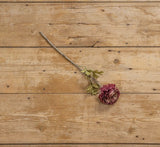 Sage Purple Peony Spray – Ragon House 19" Stem