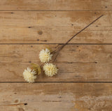 Cream Mum Spray – Ragon House 24.25" Tall