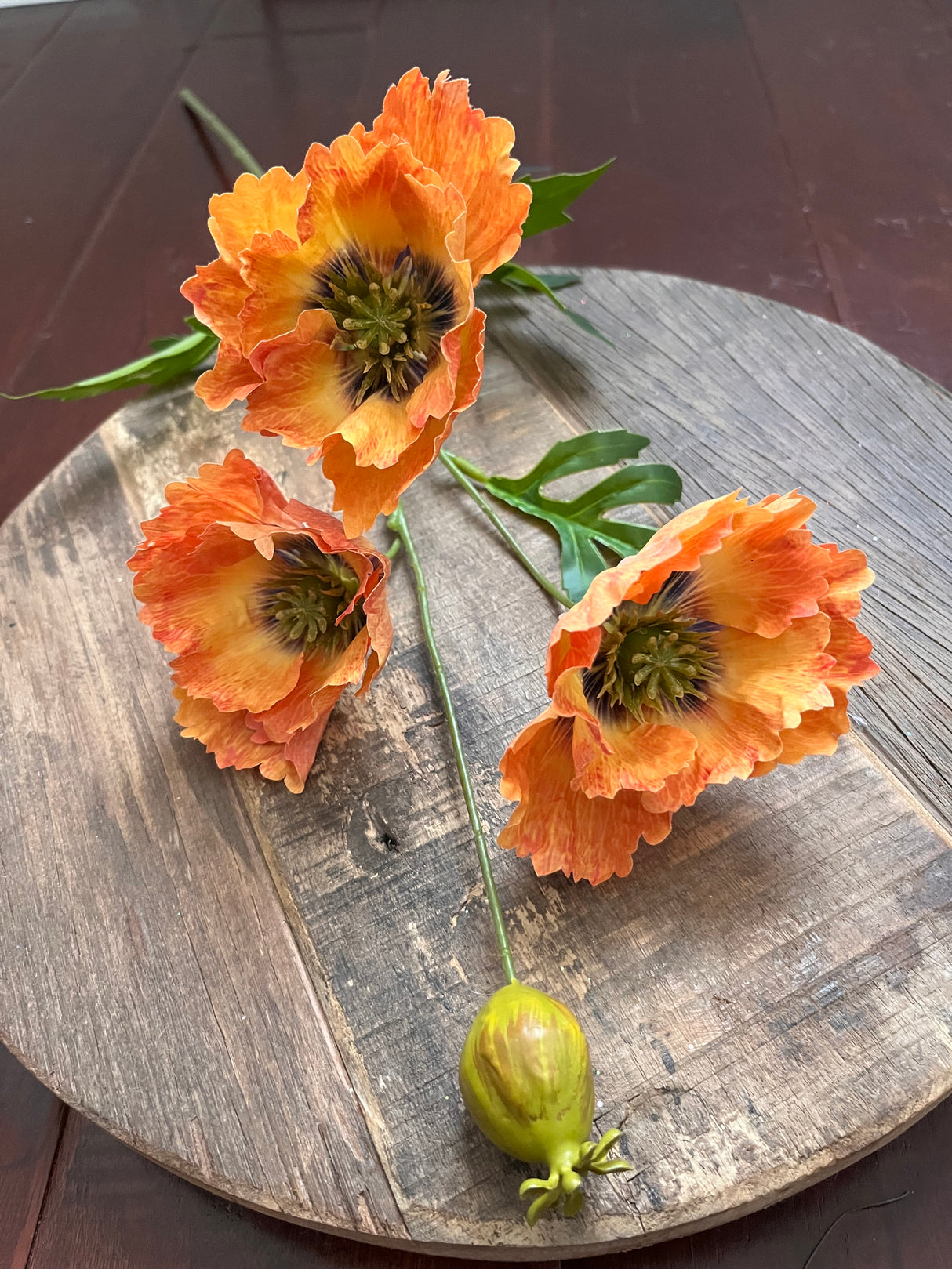 Moody Fall Poppy Stems – Ragon House Autumn Floral Collection