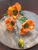 Moody Fall Poppy Stems – Ragon House Autumn Floral Collection