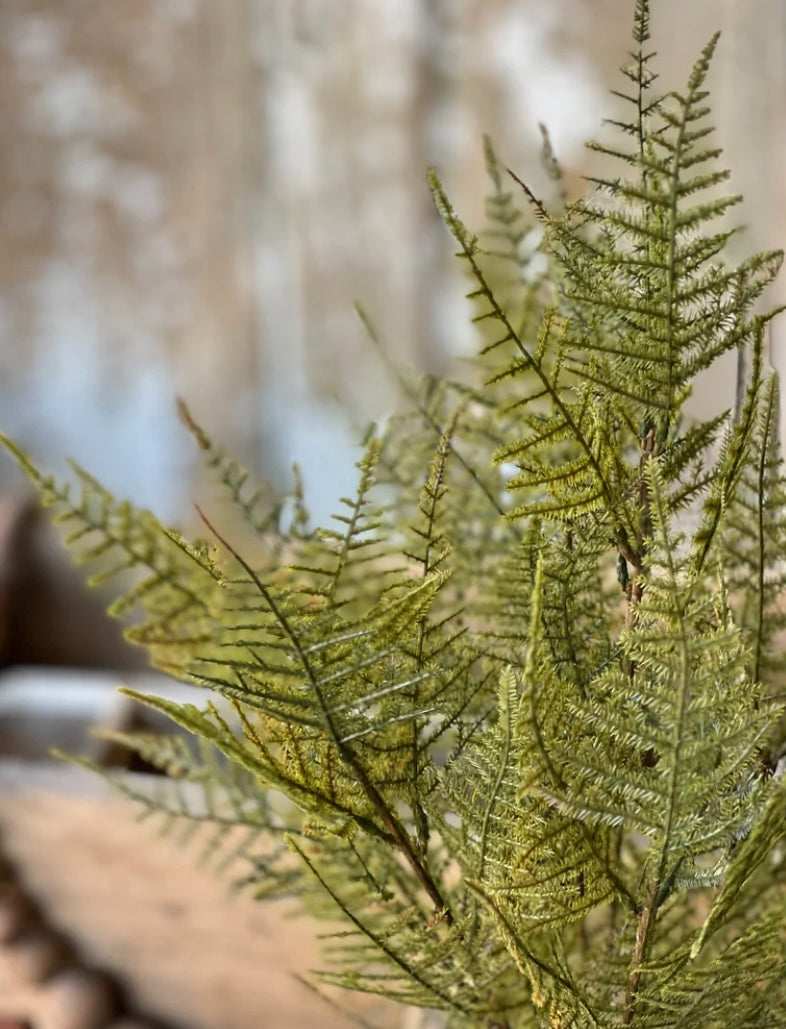 Fernbank Bush – 19″ Lush Green Fern Stem