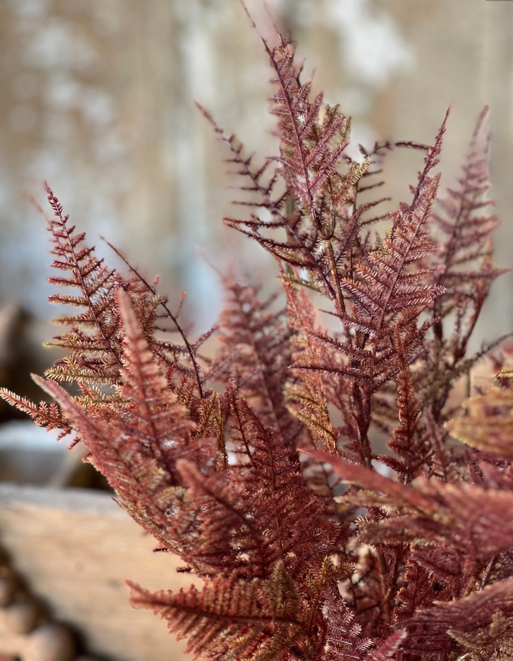 Bordeaux Fern Bush – 19″ Flocked Faux Greenery Stem