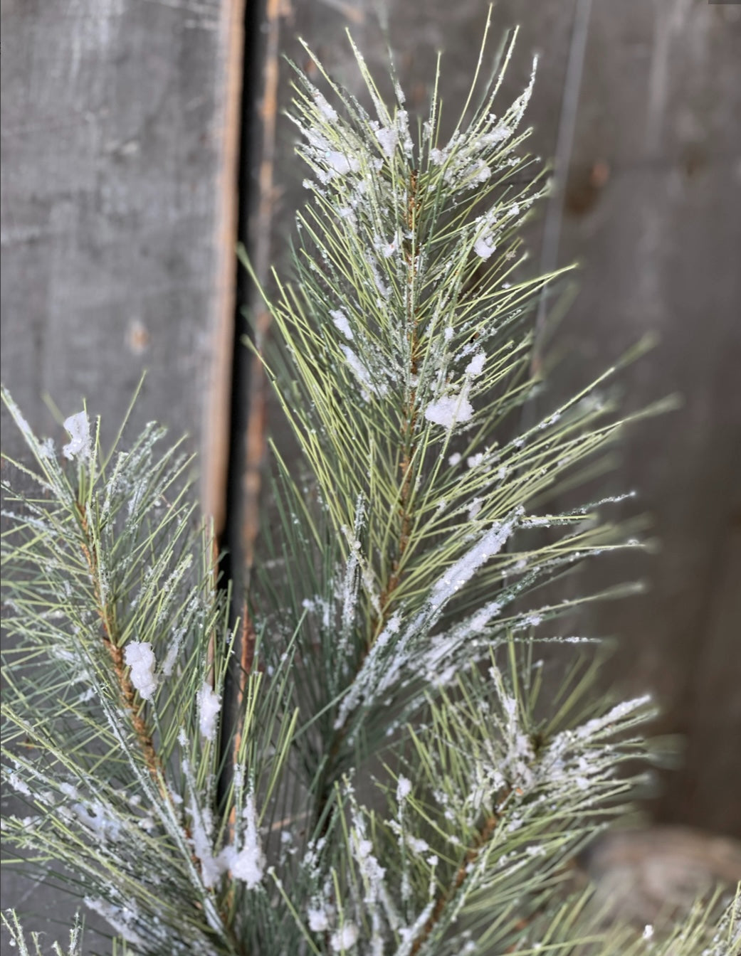 Snowy Fir Spray – 24″ Flocked Faux Winter Greenery Vintage & Lancaster Collection