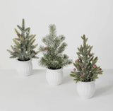 Three small potted Christmas trees on a white background