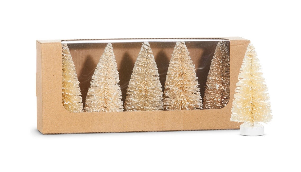 4″ Box of Snowy Natural Bottle Brush Trees – Set of 5