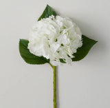 FreshCut® White Hydrangea Stem by Sullivans