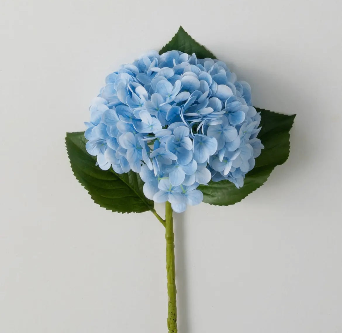 FreshCut® Vivid Blue Hydrangea Stem by Sullivans