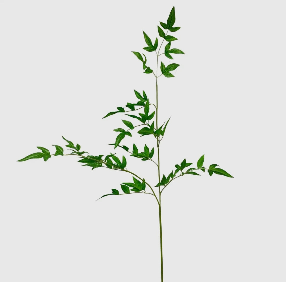 English Garden Nandina Spray in Green