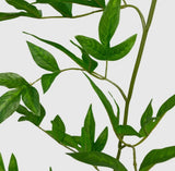 English Garden Nandina Spray in Green