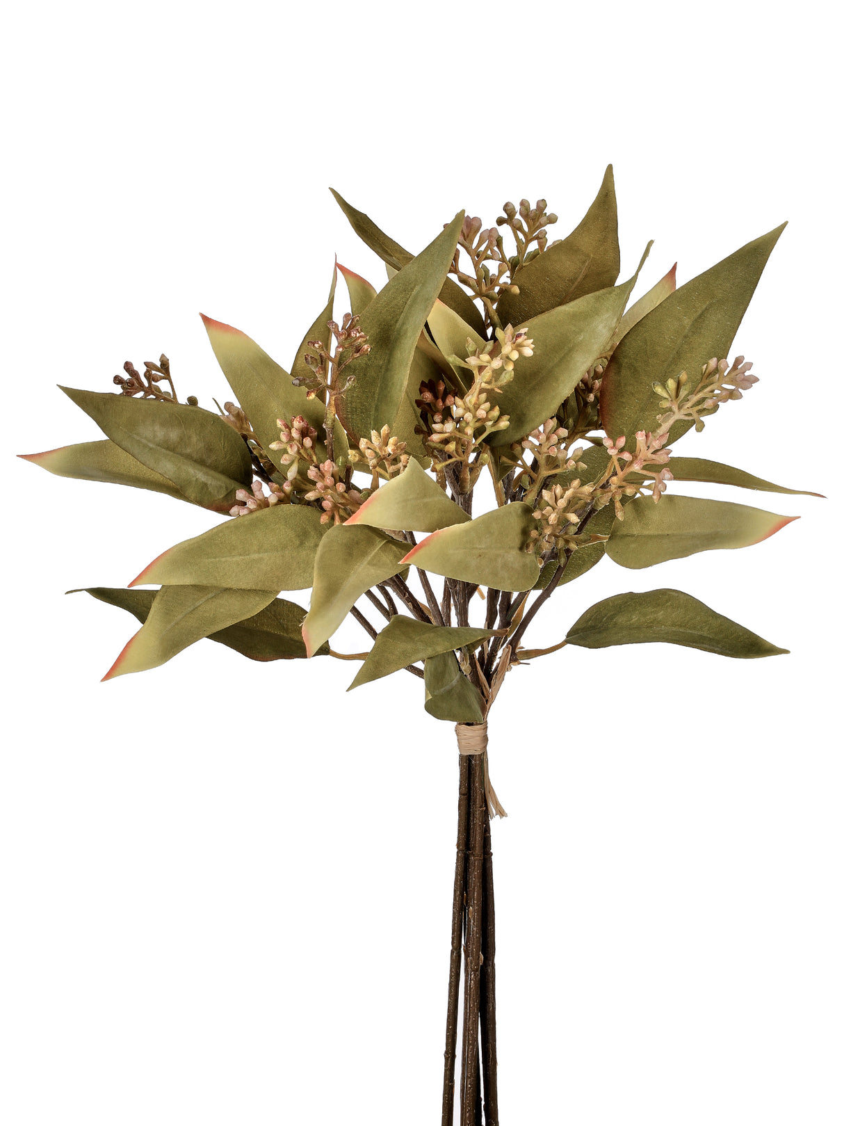 Autumn Seeded Eucalyptus Bundle – 16" Fall Botanical Stem