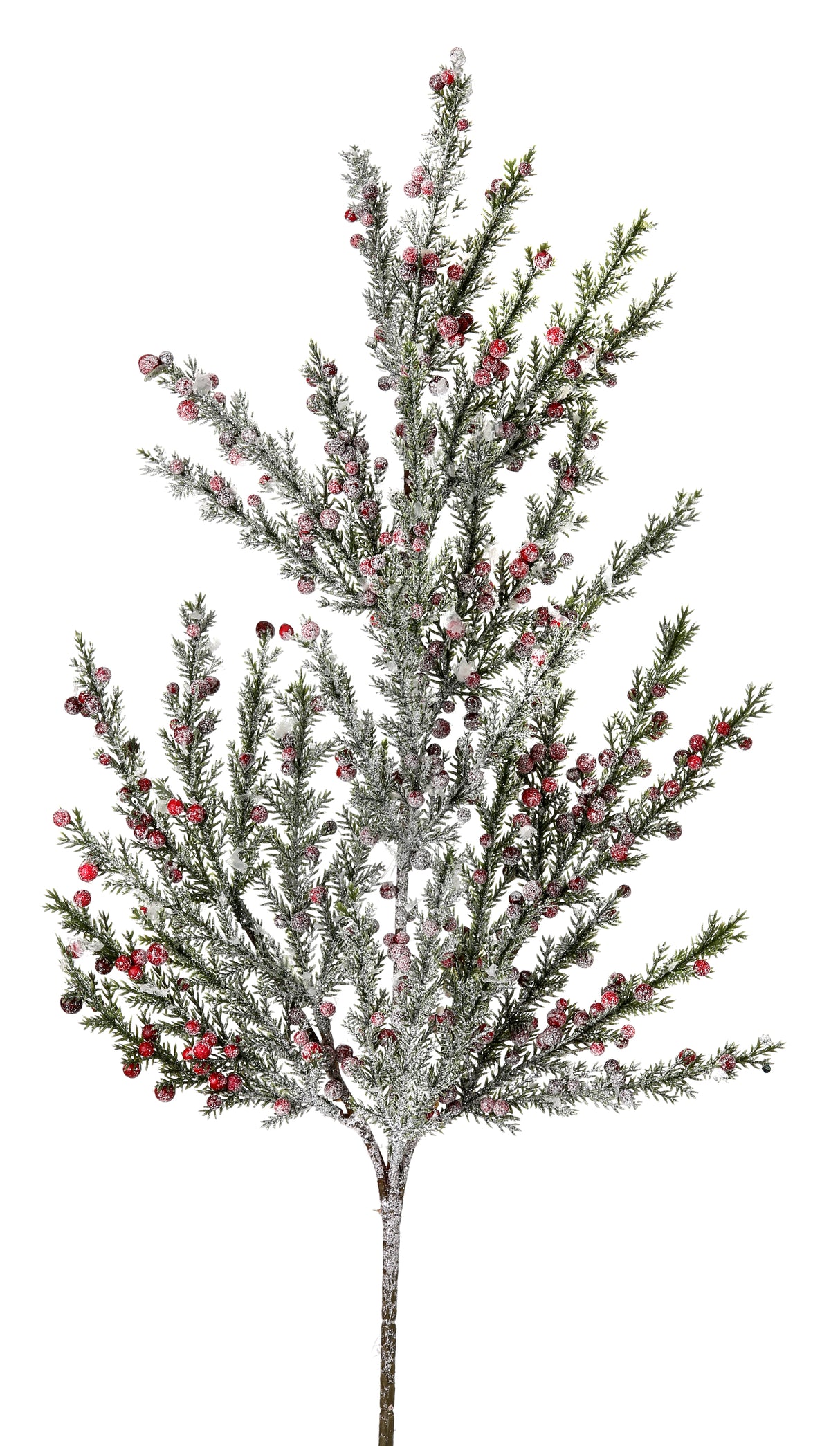 Frosted Mini Berry Prickly Juniper Spray – Winter Greenery Stem for Christmas & Seasonal Arrangements