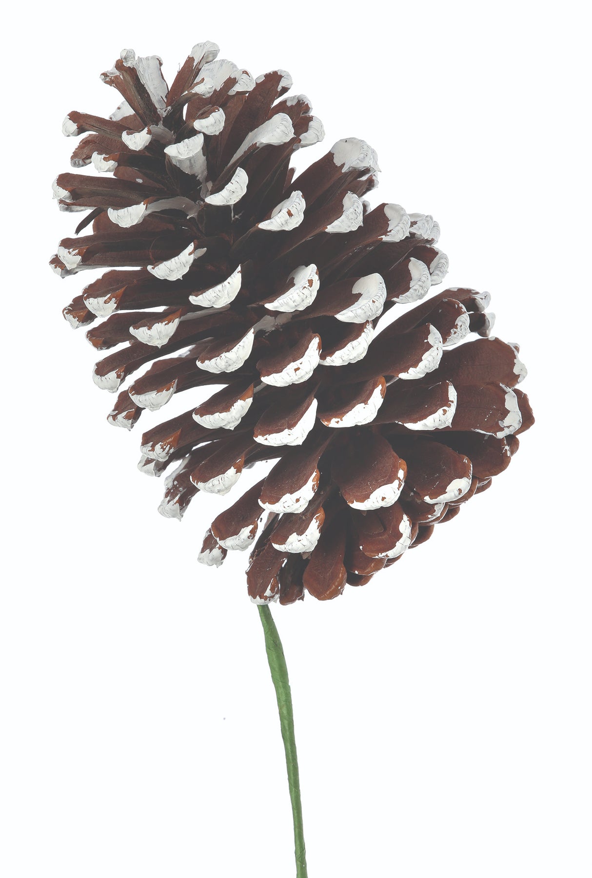 White Tip Pine Cone Pick Set – 12" Winter Floral Picks by Regency
