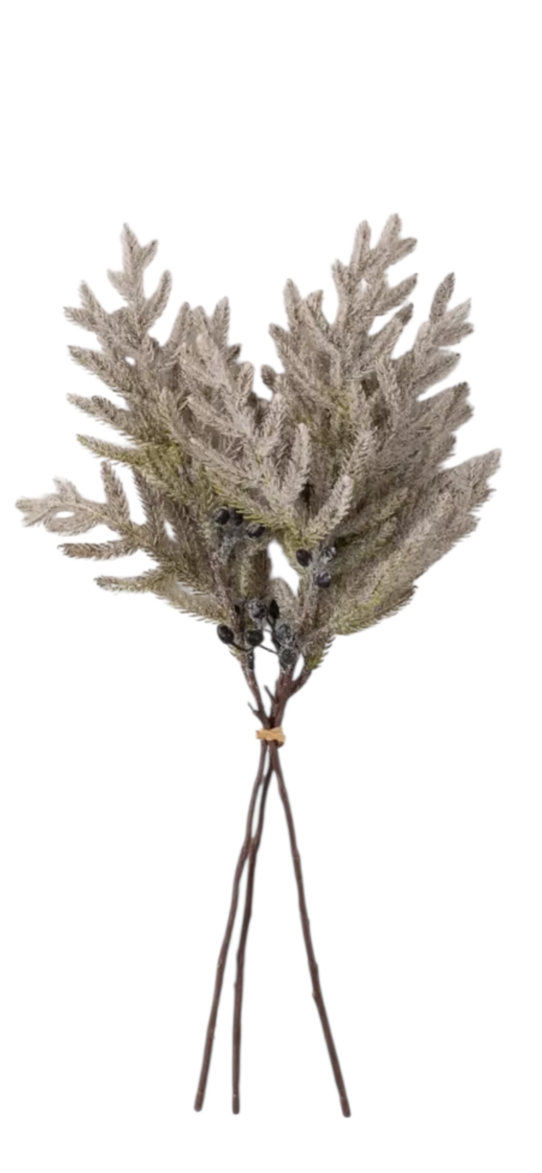 Neutral Pine Spray – Winter Frost, Green Frost, or Autumn Frost (H00461)