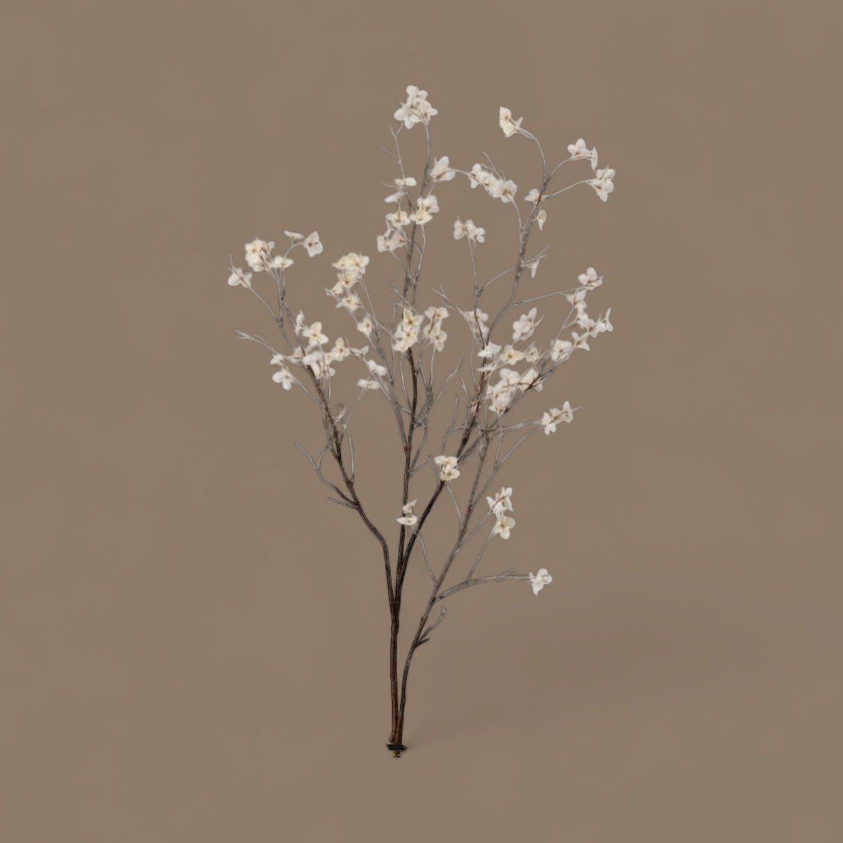 Autumn Wild Dogwood Spray – Cream