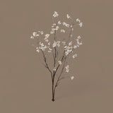 Autumn Wild Dogwood Spray – Cream