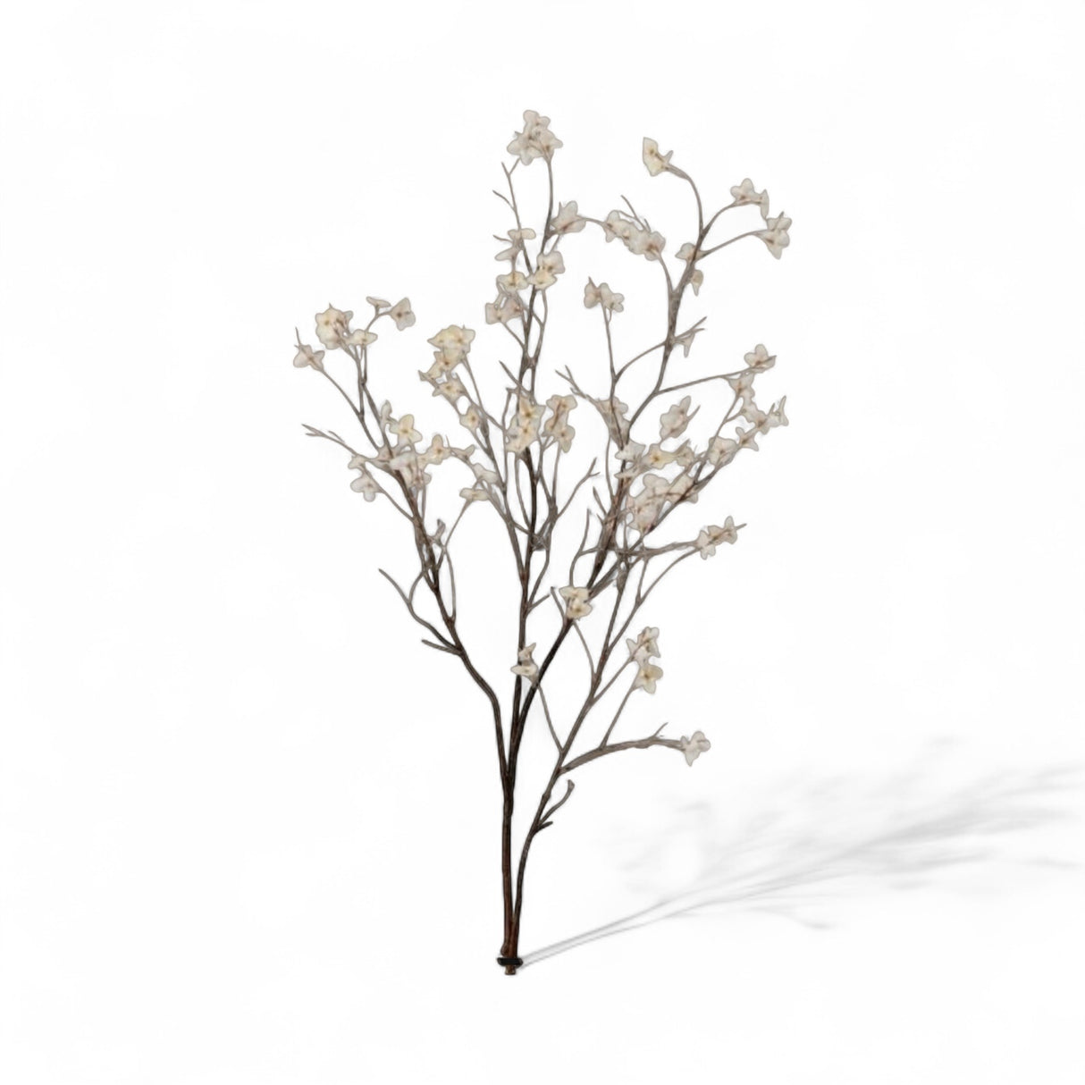 Autumn Wild Dogwood Spray – Cream