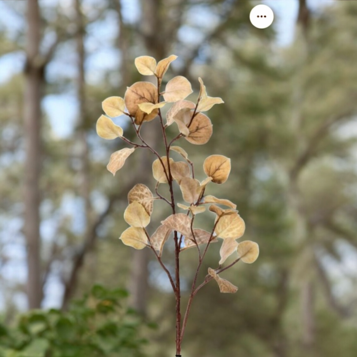Birch Leaf Spray in Cream & Brown