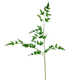 42″ English Garden Nandina Spray – Realistic Green Foliage Stem for Holiday & Everyday Décor