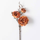Burnt Orange Ranunculus Spray
