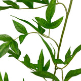 42″ English Garden Nandina Spray – Realistic Green Foliage Stem for Holiday & Everyday Décor