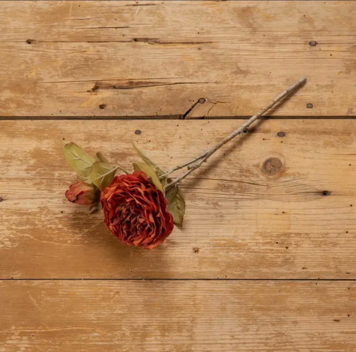 Burnt Orange Rose Stem – Ragon House | 14" Tall