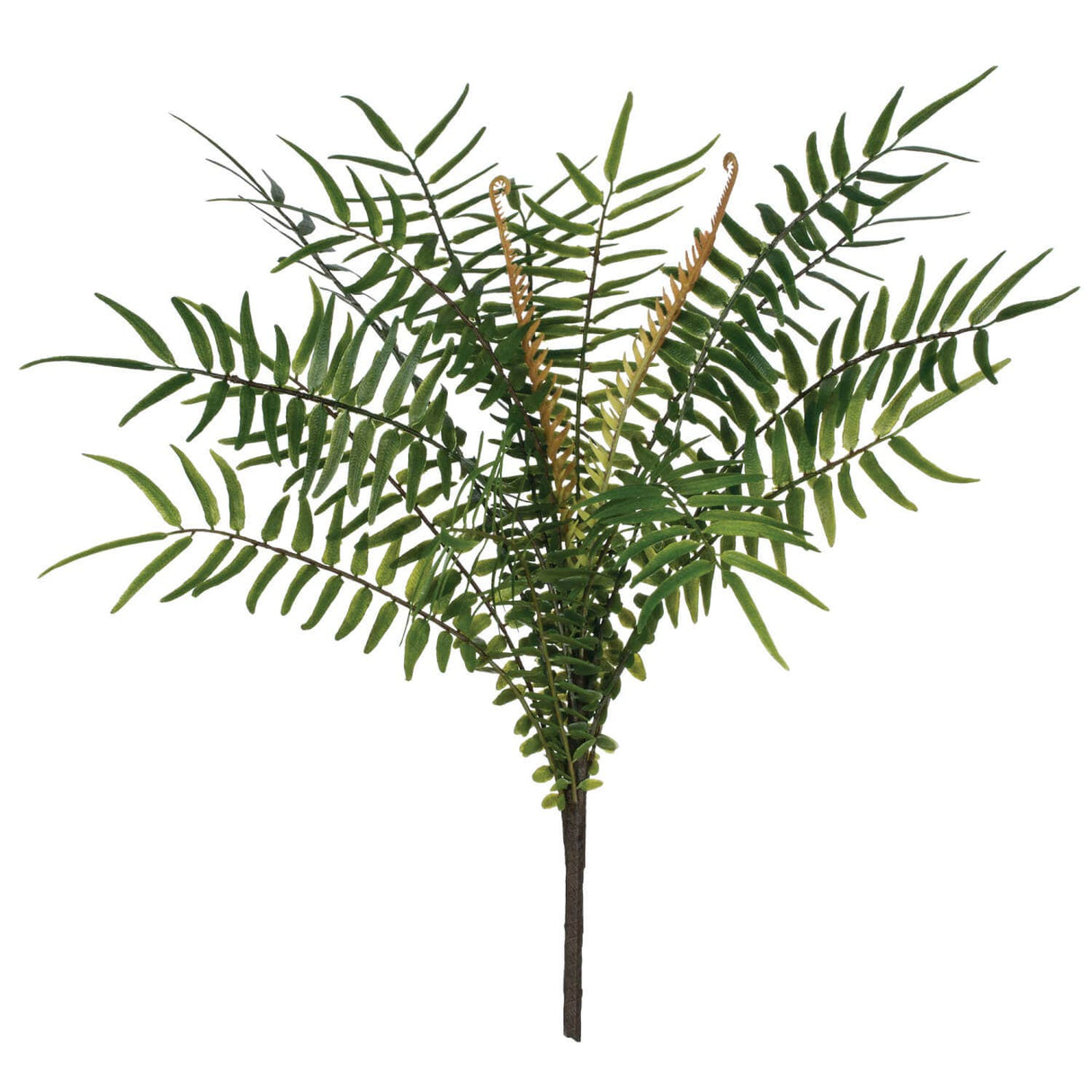 Green Fern Bush – Faux Pinnate Leaf Stem (13″)